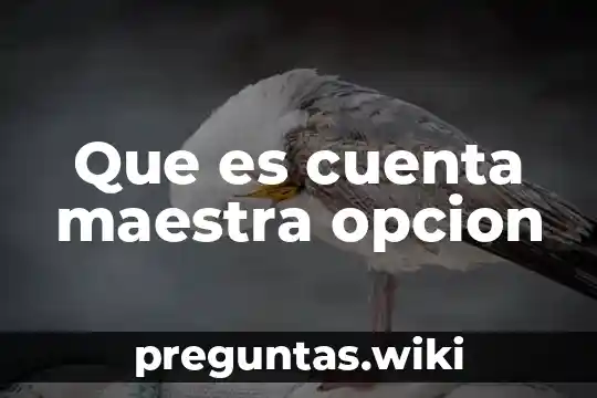 Que es cuenta maestra opcion