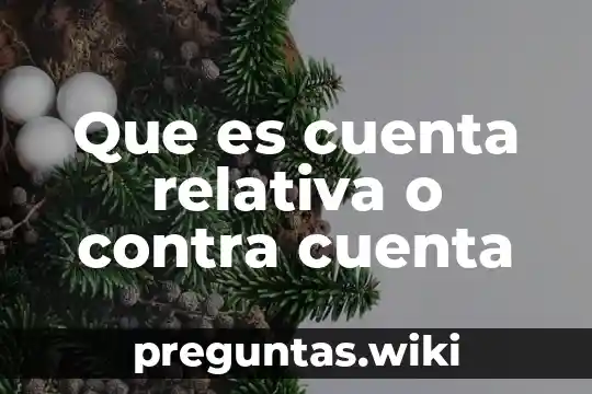 Que es cuenta relativa o contra cuenta
