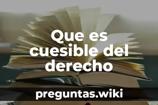 Que es cuesible del derecho