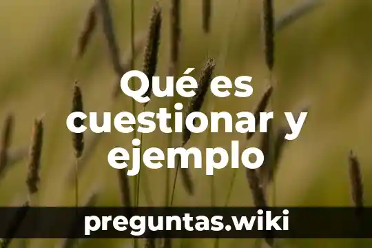 Qué es cuestionar y ejemplo