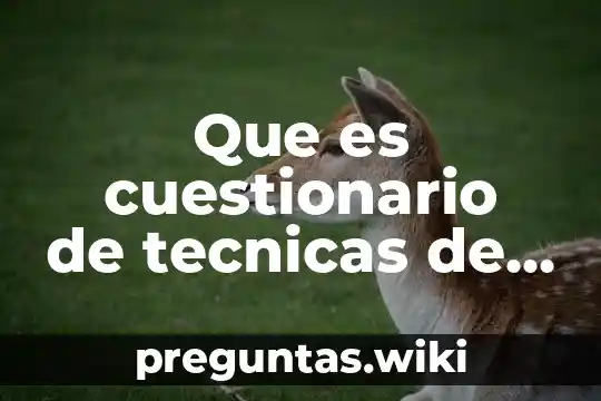 Que es cuestionario de tecnicas de estudio