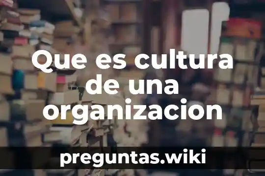 Que es cultura de una organizacion