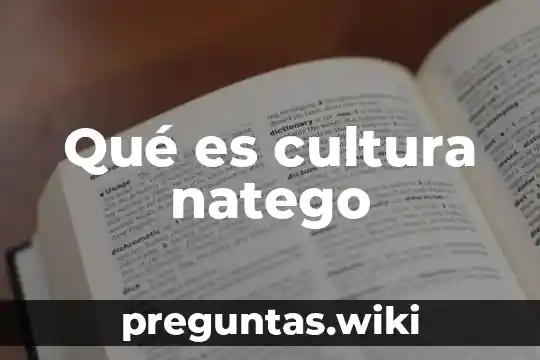Qué es cultura natego