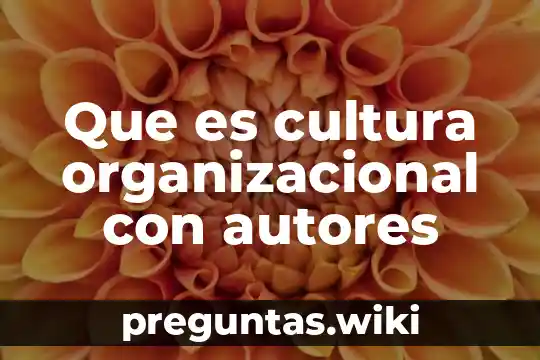 Que es cultura organizacional con autores