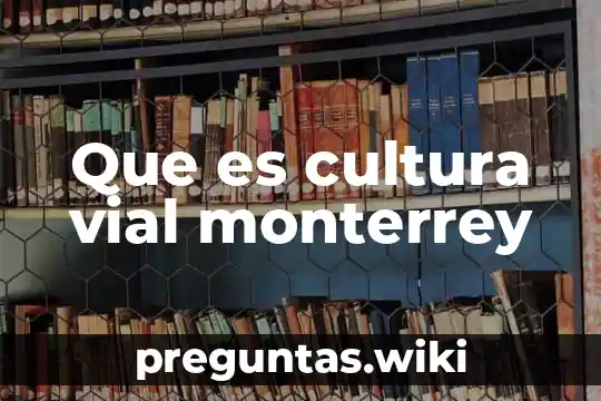 Que es cultura vial monterrey