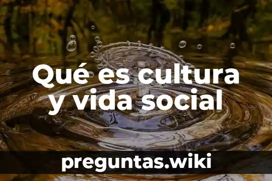 Qué es cultura y vida social