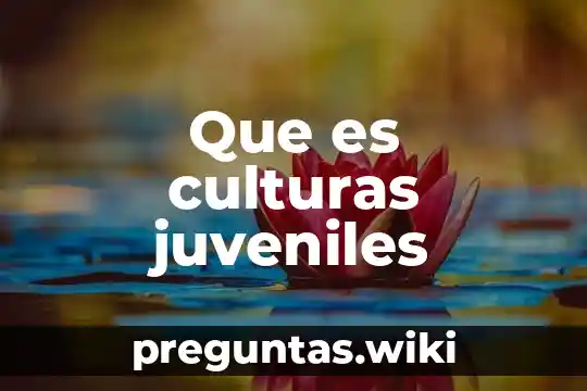 Que es culturas juveniles