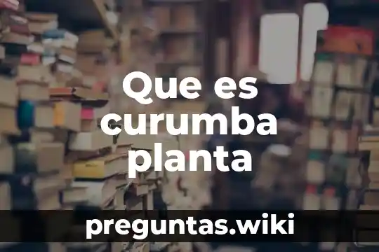 Que es curumba planta