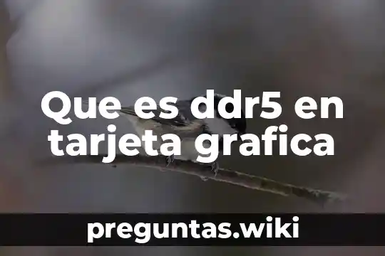 Que es ddr5 en tarjeta grafica