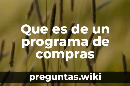 Que es de un programa de compras