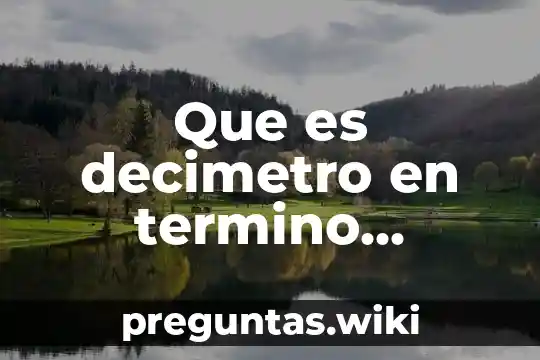 Que es decimetro en termino matematico