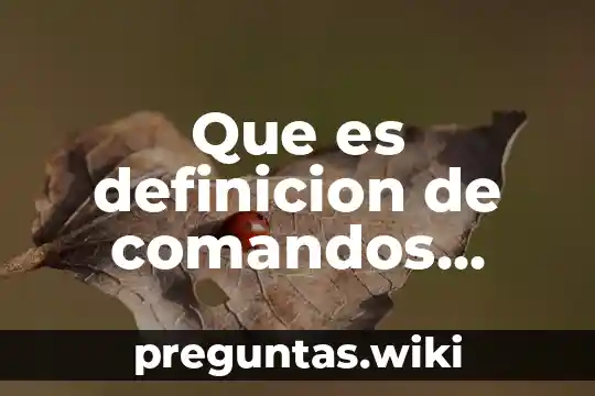 Que es definicion de comandos autocad