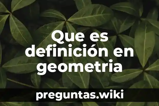 Que es definición en geometria