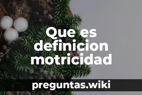 Que es definicion motricidad