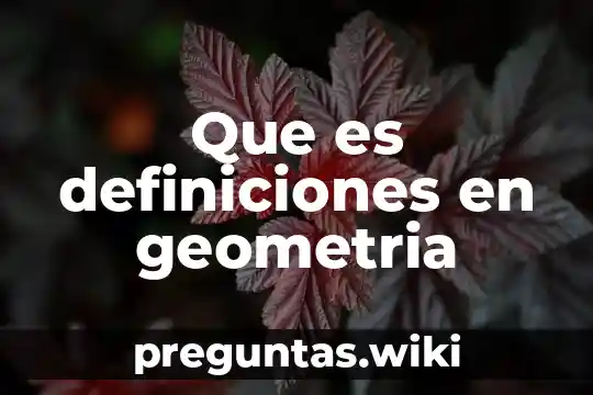Que es definiciones en geometria
