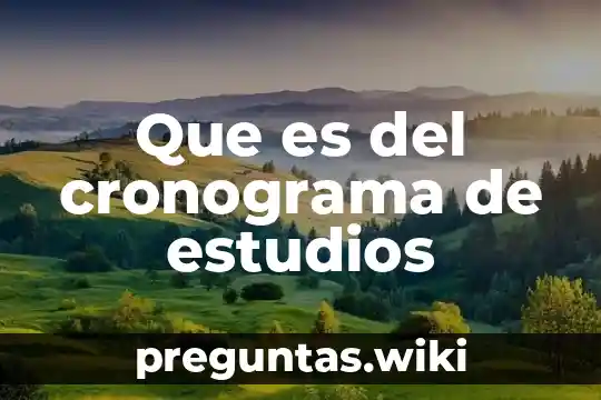 Que es del cronograma de estudios