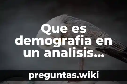 Que es demografia en un analisis microeconomico