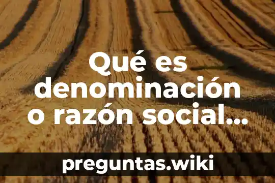 Qué es denominación o razón social en la verificación