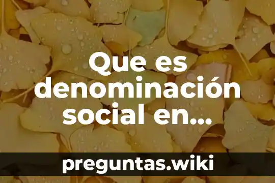 Que es denominación social en ambito de derecho
