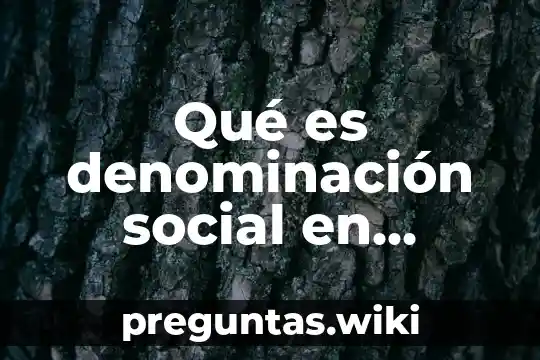 Qué es denominación social en contabilidad
