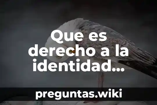 Que es derecho a la identidad nacional y cultural