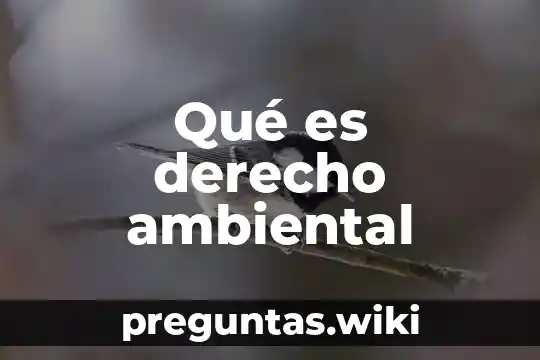 Qué es derecho ambiental