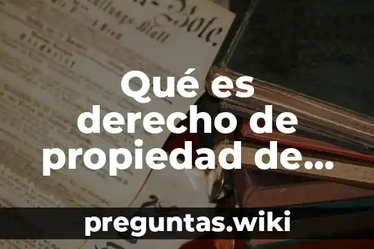 Qué es derecho de propiedad de sociedad