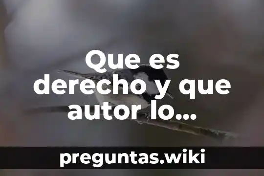 Que es derecho y que autor lo escribio