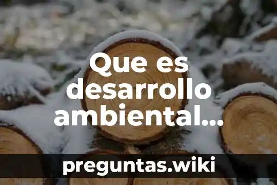 Que es desarrollo ambiental definicion