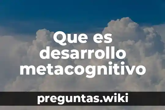 Que es desarrollo metacognitivo