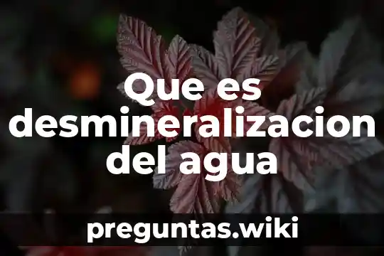 Que es desmineralizacion del agua