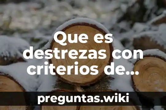 Que es destrezas con criterios de desempeño a ser desarrolladas