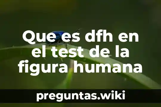Que es dfh en el test de la figura humana