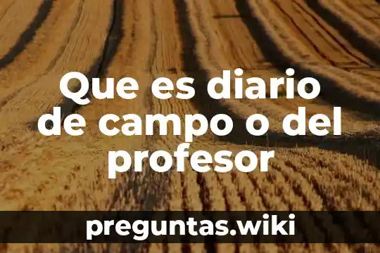 Que es diario de campo o del profesor