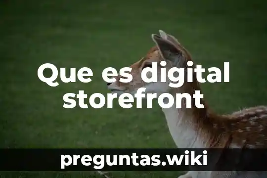 Que es digital storefront
