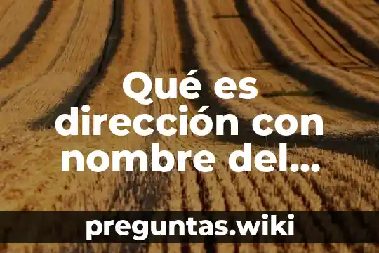 Qué es dirección con nombre del libro y autor