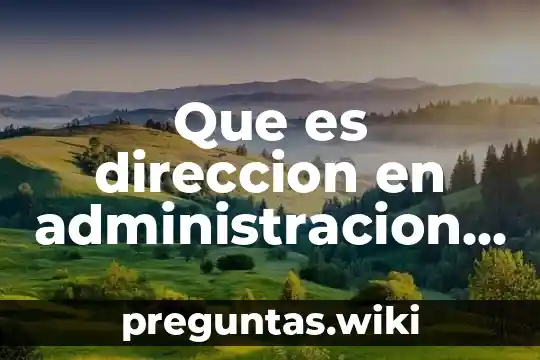 Que es direccion en administracion stephen robbins