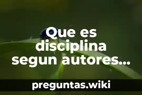 Que es disciplina segun autores de la educacion