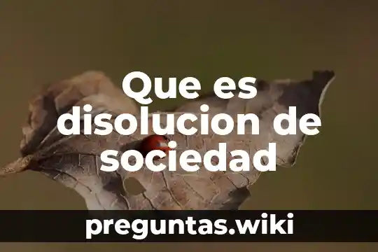 Que es disolucion de sociedad