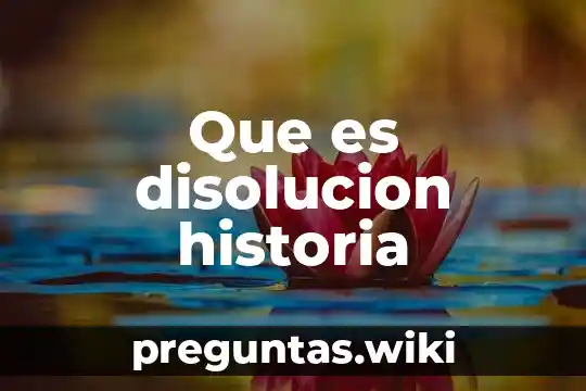 Que es disolucion historia