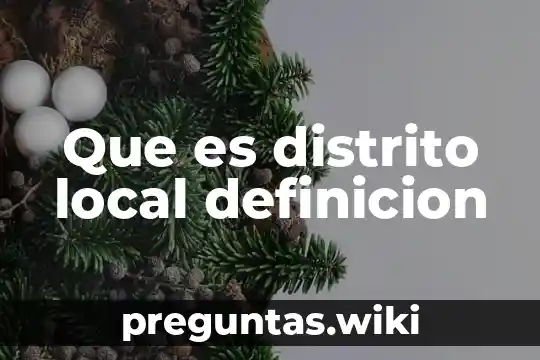 Que es distrito local definicion