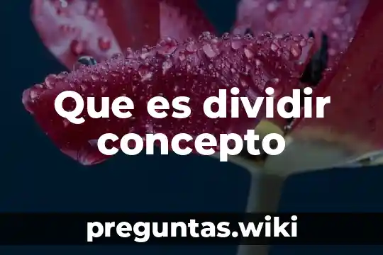 Que es dividir concepto