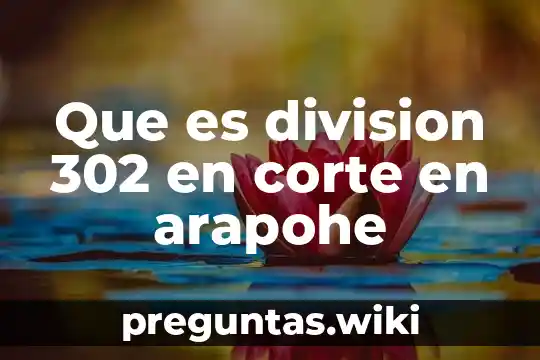 Que es division 302 en corte en arapohe