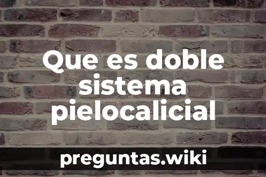Que es doble sistema pielocalicial