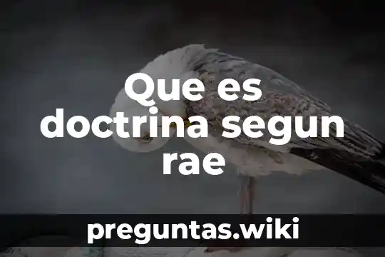 Que es doctrina segun rae