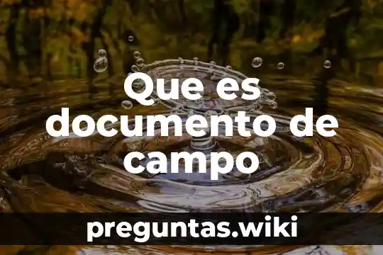 Que es documento de campo