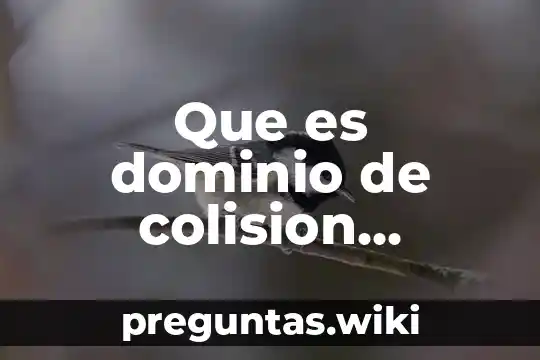 Que es dominio de colision informatica