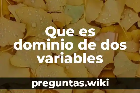 Que es dominio de dos variables
