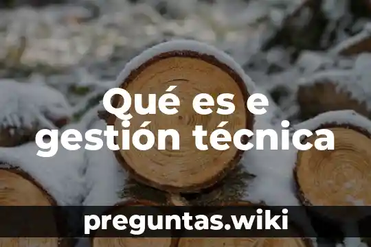 Qué es e gestión técnica