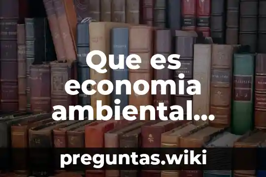 Que es economia ambiental mapa